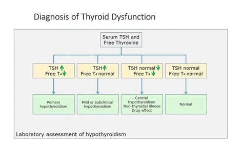 Hyperthyroidism Vs Hypothyroidism Chart