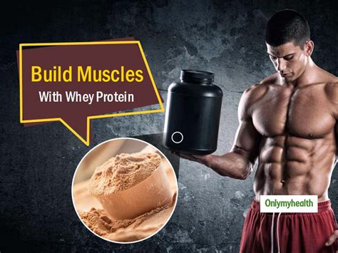 Supplements For Muscle Gain: Boost Muscles With Whey Protein | OnlyMyHealth