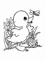 Duckling coloring pages sketch template