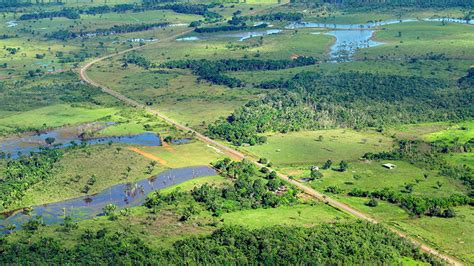 Brazil halves environment budget amid rising Amazon deforestation