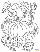 Fall Coloring Pages A Preschoolers Delight sketch template