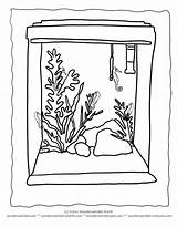 Aquarium Coloring Page Pet Seahorse Seahorses As Pets  sketch template