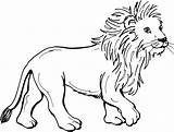 Lion Coloring Pages For Kids Photo – Animal Place sketch template