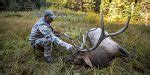 Top 5 Elk Hunting Tips | Elk101.com | Eat. Sleep. HUNT ELK!