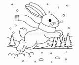 PrintFluffy White Rabbit Hopping Outline Coloring Page Christmas And  sketch template