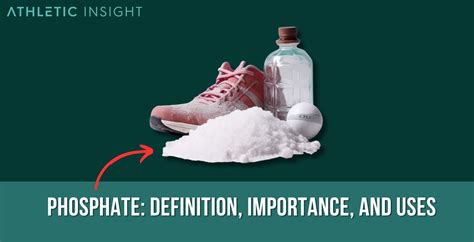 Phosphate: Definition, Importance, and Uses - Athletic Insight