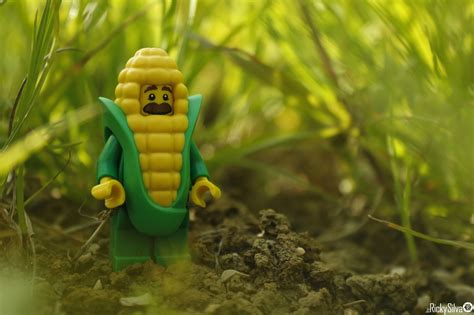 [Real World] (53) Corn Cob Guy | Lego photo, Lego minifigures, Legos