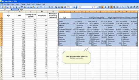 Descriptive Statistics with Excel