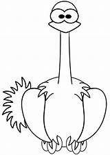 Cute Ostrich Coloring Page  Free Printable Pages For Kids sketch template