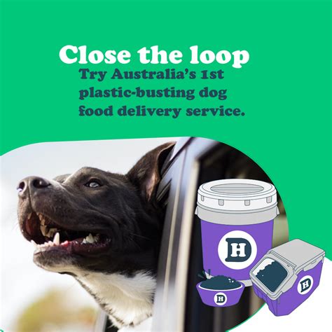 Know How to Choose the Best Dog Food Delivery Service