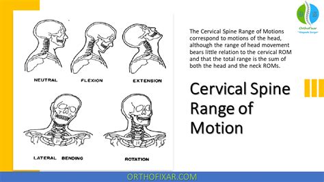 Normal Neck Range Of Motion