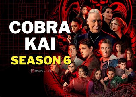 Cobra Kai Season 6: Netflix Release Date, Cast, Spoilers, Where to Watch, News & More