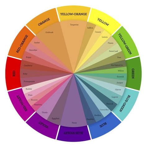 What is a Complementary Color Scheme — Definition, Examples