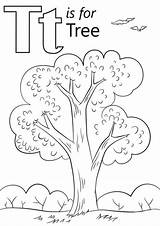 Free & Easy To Print Tree Coloring Pages  Tulamama sketch template