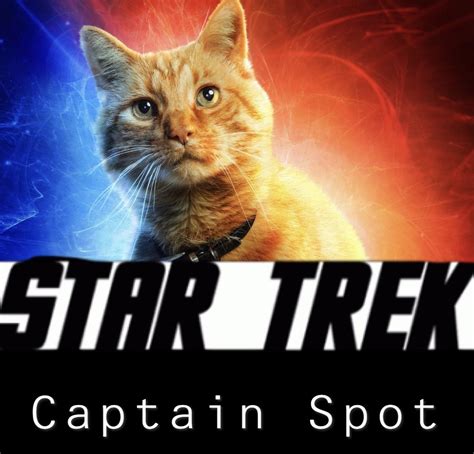 Just announced by CBS- your favorite tng character is getting their own show : r/startrekmemes