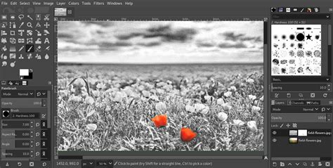 Making a Black and White Photo With Color Effect - GIMP Tutorial