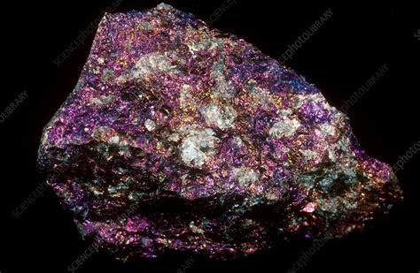 Bornite - Stock Image - C009/3834 - Science Photo Library