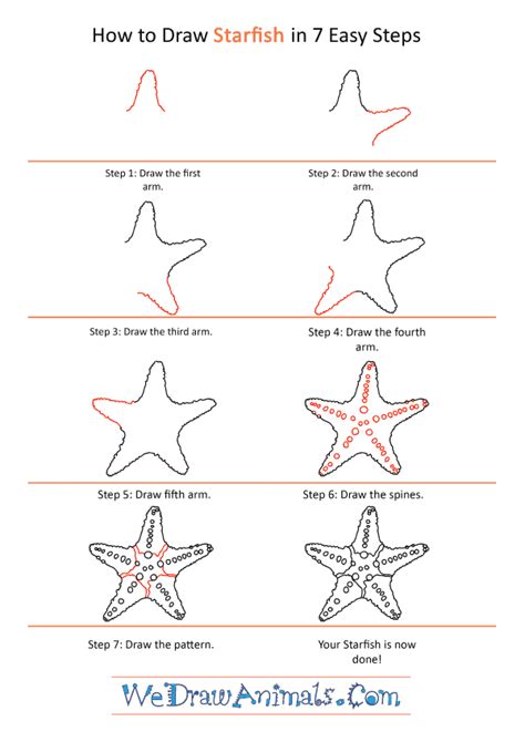 How to Draw a Realistic Starfish