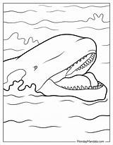 20 Killer Whale Coloring Pages Free PDF Printables sketch template