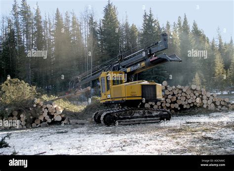 Logging industry Stock Photo - Alamy