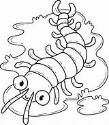 Centipede Coloring Page Pages Kidsuki sketch template