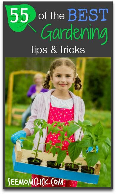 55 of the Best Gardening Tips and Tricks | See Mom Click