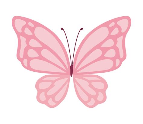 Pink Butterfly Vector Art, Icons, and Graphics for Free Download