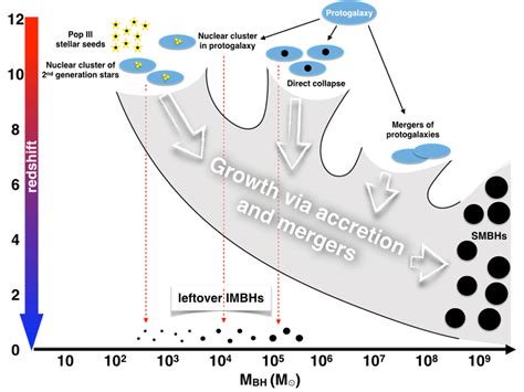 Possible pathways for the formation of Supermassive Black Holes... | Download Scientific Diagram