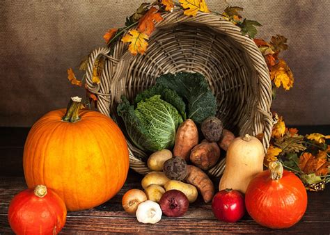 Thanksgiving Images Galore: Free HD Photos, Pictures, and More! - Pixabay