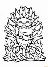 Minion And Many Bananas Coloring Pages  Cartoons Free sketch template