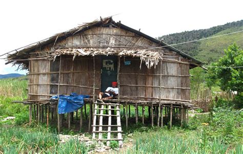 Rumah Adat Papua Barat (Mod Aki Aksa), Gambar, dan Penjelasannya | Adat Tradisional