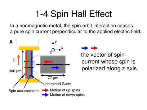 PPT - Observation of the spin-Hall Effect PowerPoint Presentation, free download - ID:3220637