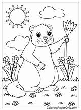 70  Groundhog Day Coloring Pages Free Printable PDF JPG PNG sketch template