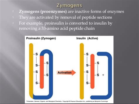 zymogen – Liberal Dictionary