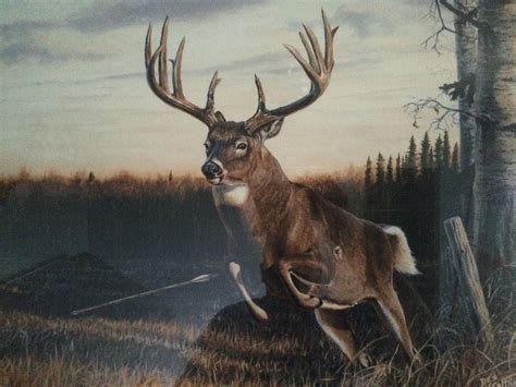 Kill Zone V 5 Whitetail Deer by Artist Desmond McCaffrey Bow Hunting | #1788024576