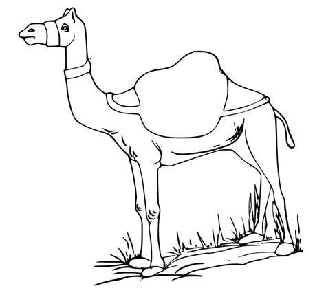 Grassland Coloring Page
