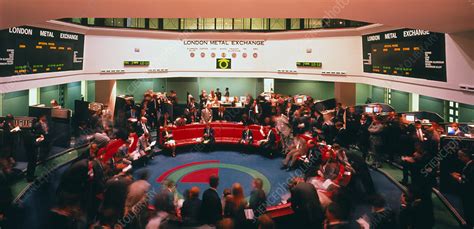 View of traders in the London Metal Exchange - Stock Image - T362/0073 - Science Photo Library