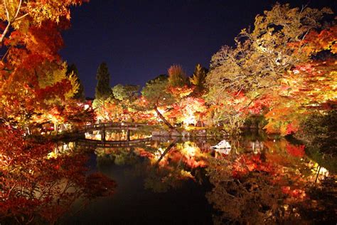 Kyoto at Night: 5 Best Temples in Kyoto to Visit at Night - Japan Web ...