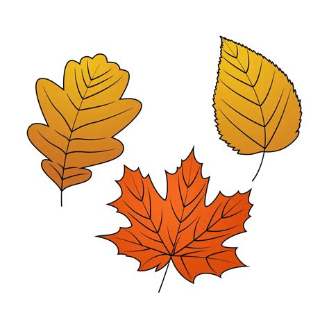 7 Ways To Draw Fall Leaves Fall Leaves Drawing Fall Drawings Leaf ...