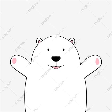 Cute Bear Hd Transparent, Cute White Bear Animal, Lovely, Animal, Polar Bear PNG Image For Free ...