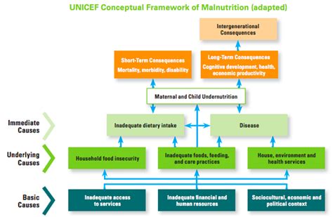 Malnutrition, Its Causes and Types of Malnutrition - Public Health Notes