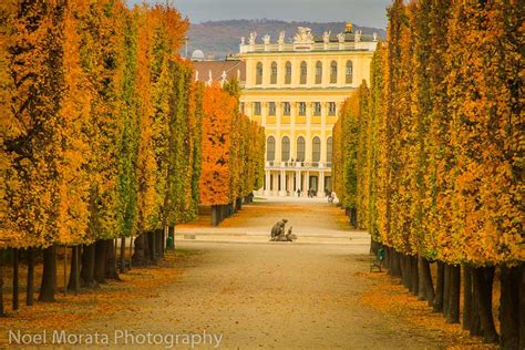 Vienna Highlights: A Fall Garden Tour At Schonbrunn