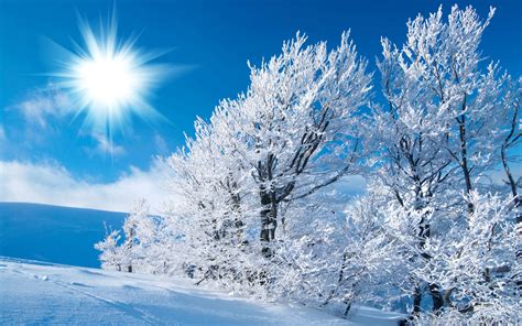 Free Desktop Wallpapers Winter Scenes - Wallpaper Cave