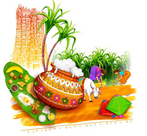 Festival clipart mattu pongal, Festival mattu pongal Transparent FREE for download on ...