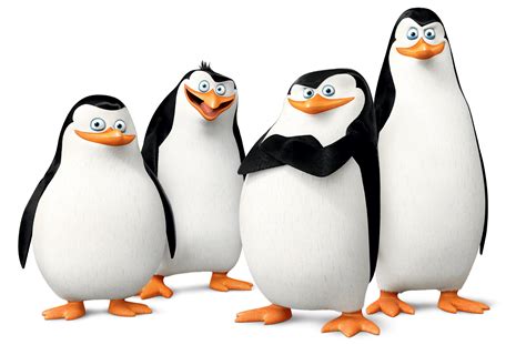 Madagascar penguins PNG