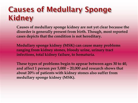 PPT - Medullary Sponge Kidney: Causes, Symptoms, Daignosis, Prevention and Treatment PowerPoint ...