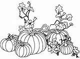 15 Mystical Pumpkin Coloring Pages With Colouring Tips sketch template