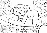 Cute Monkey Printable Coloring Pages sketch template