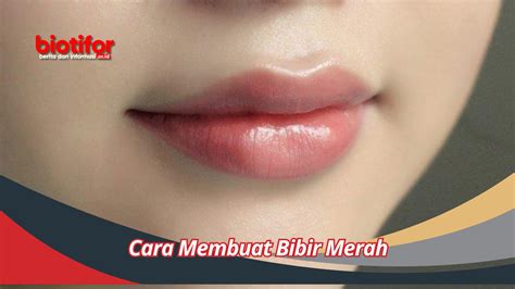 Cara Membuat Bibir Merah Dengan Mudah Dan Simple