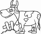Cow 6 Coloring Page  Free Printable Pages For Kids sketch template